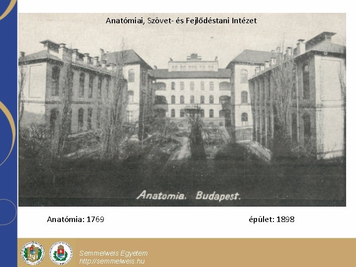 Anatómiai, Szövet- és Fejlődéstani Intézet Anatómia: 1769 Semmelweis Egyetem http: //semmelweis. hu épület: 1898