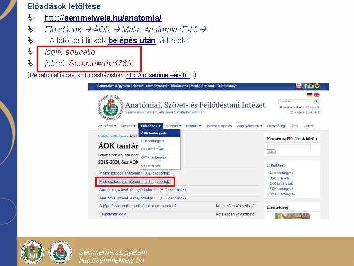 Előadások letöltése: Ä http: //semmelweis. hu/anatomia/ Ä Előadások ÁOK Makr. Anatómia (E-H) Ä ”