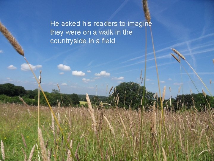 The Design Argument He asked his readers to imagine they were on a walk