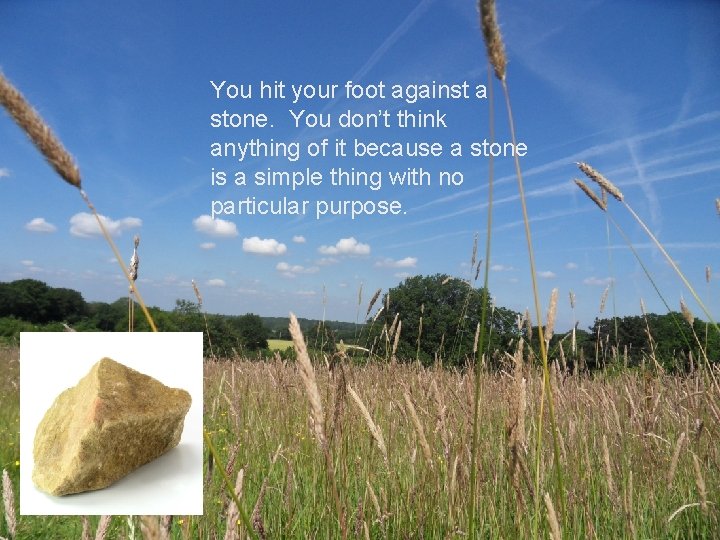 The Design Argument You hit your foot against a stone. You don’t think anything