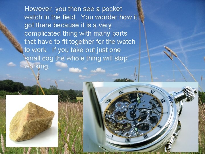 However, you then see a pocket watch in the field. You wonder how it