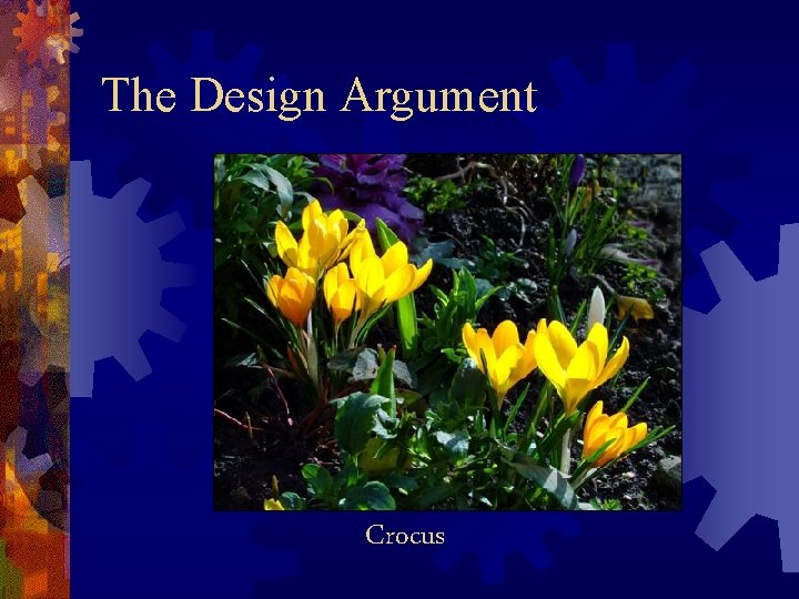 The Design Argument Crocus 