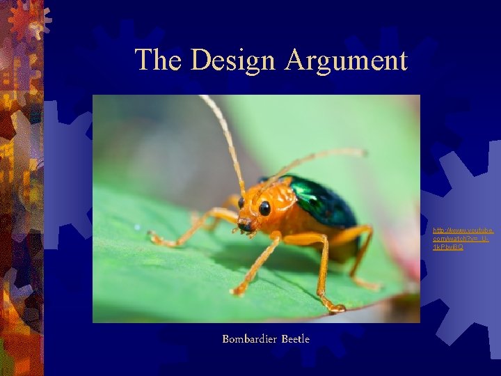 The Design Argument http: //www. youtube. com/watch? v=_U 1 k. Pbvj 8 Q Bombardier