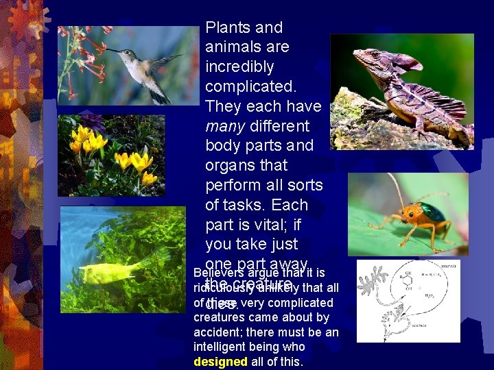 Plants and animals are incredibly complicated. They each have many different body parts and