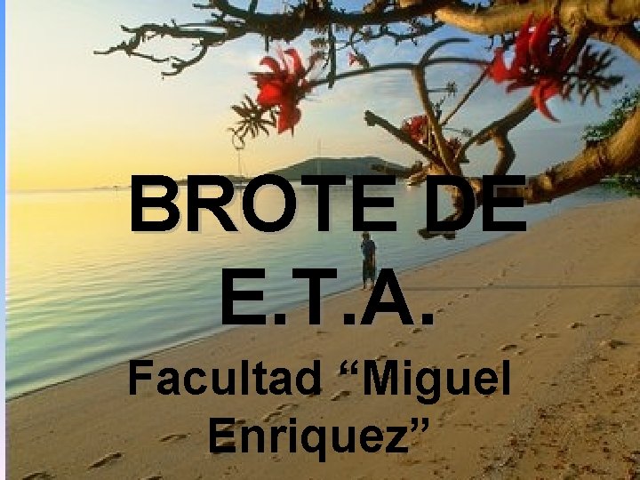 BROTE DE E. T. A. Facultad “Miguel Enriquez” 20 -ABRIL-2004 PROF. R. MOYA GÓMEZ