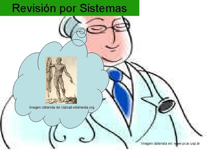 Revisión por Sistemas Imagen obtenida de Upload. wikimedia. org Imagen obtenida en: www. pcar.