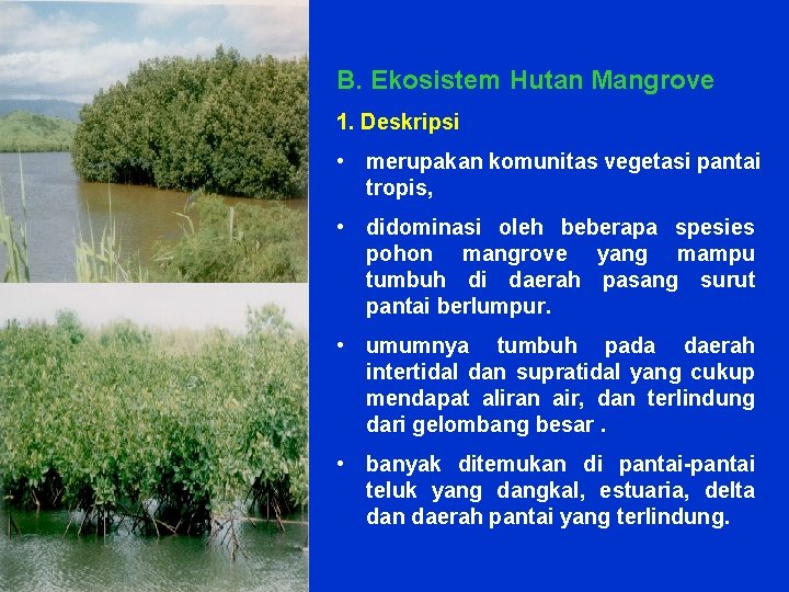 B. Ekosistem Hutan Mangrove 1. Deskripsi • merupakan komunitas vegetasi pantai tropis, • didominasi