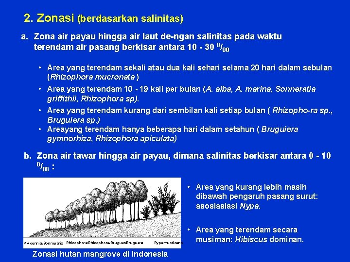 2. Zonasi (berdasarkan salinitas) a. Zona air payau hingga air laut de-ngan salinitas pada