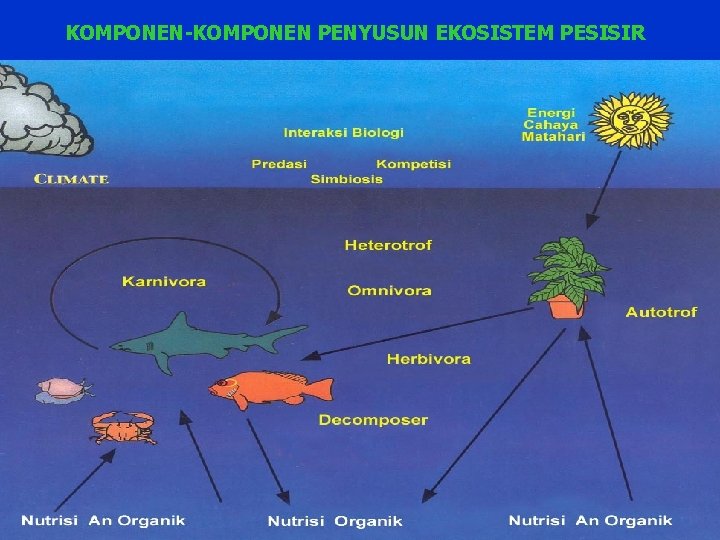 KOMPONEN-KOMPONEN PENYUSUN EKOSISTEM PESISIR 