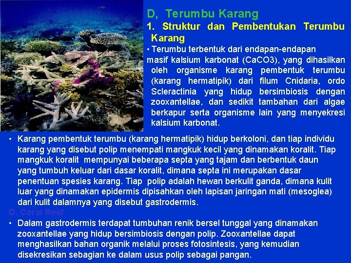D, Terumbu Karang 1. Struktur dan Pembentukan Terumbu Karang • Terumbu terbentuk dari endapan-endapan