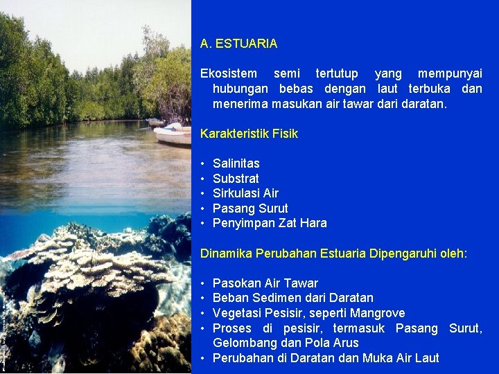 A. ESTUARIA Ekosistem semi tertutup yang mempunyai hubungan bebas dengan laut terbuka dan menerima