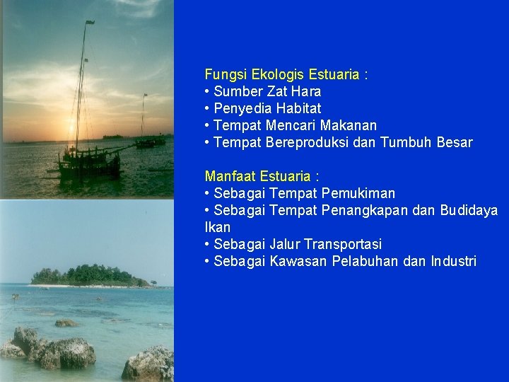 Fungsi Ekologis Estuaria : • Sumber Zat Hara • Penyedia Habitat • Tempat Mencari