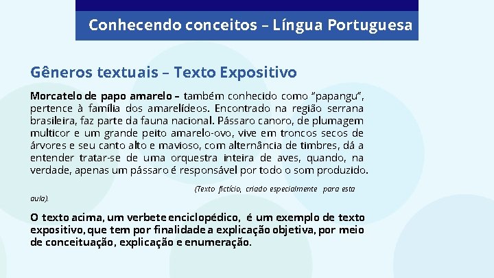 Conhecendo conceitos – Língua Portuguesa Gêneros textuais – Texto Expositivo Morcatelo de papo amarelo