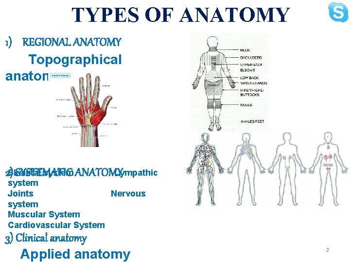 TYPES OF ANATOMY 1) REGIONAL ANATOMY Topographical anatomy system ANATOMY Lympathic 2)Skeletal SYSTEMATIC system