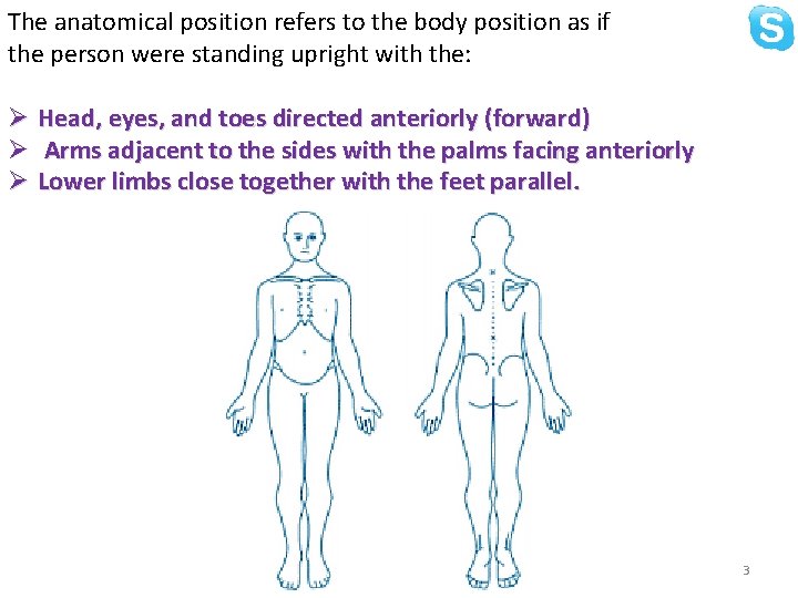 The anatomical position refers to the body position as if the person were standing