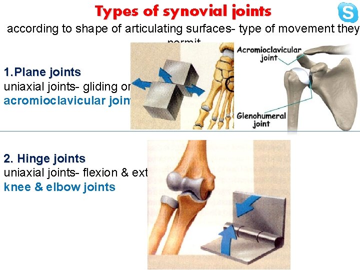 Types of synovial joints according to shape of articulating surfaces- type of movement they