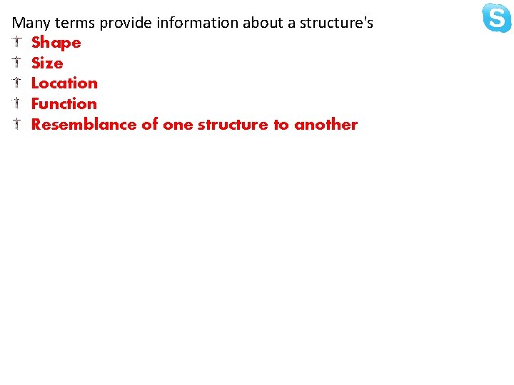 Many terms provide information about a structure's Shape Size Location Function Resemblance of one