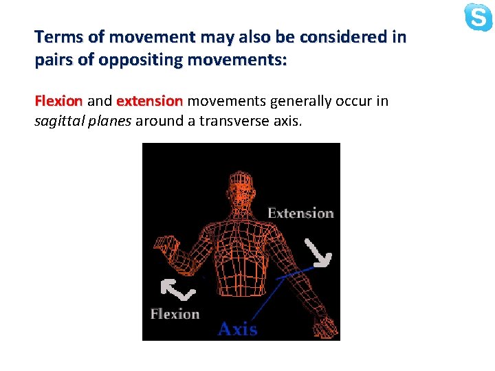 Terms of movement may also be considered in pairs of oppositing movements: Flexion and