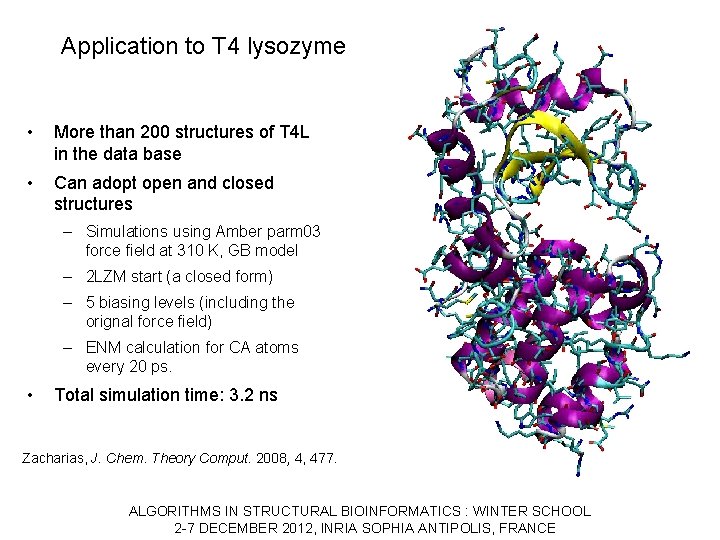Application to T 4 lysozyme • More than 200 structures of T 4 L