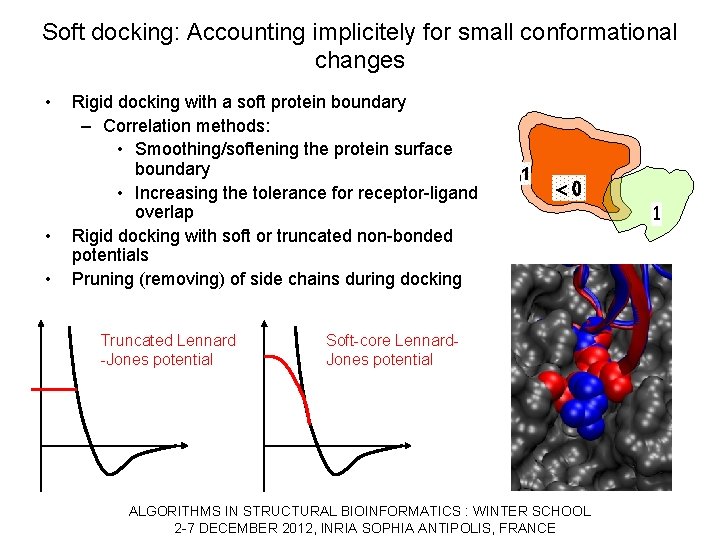 Soft docking: Accounting implicitely for small conformational changes • • • Rigid docking with