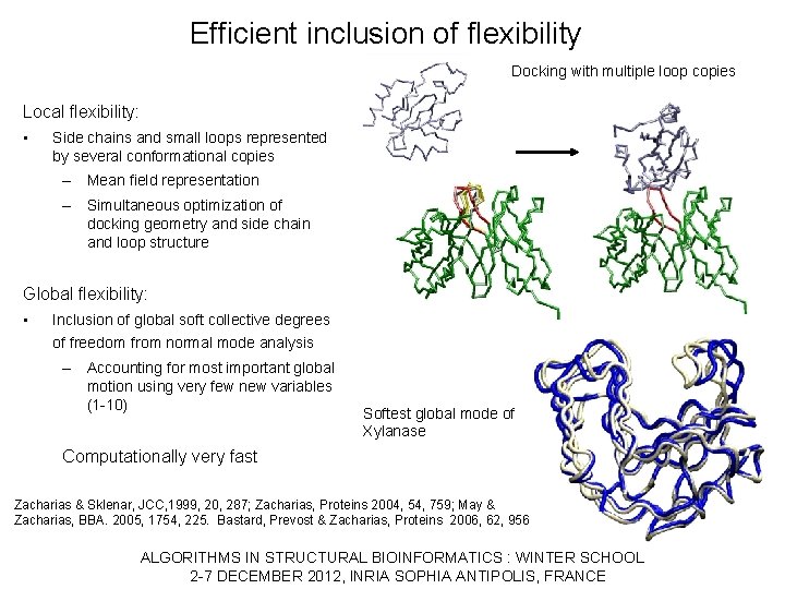 Efficient inclusion of flexibility Docking with multiple loop copies Local flexibility: • Side chains