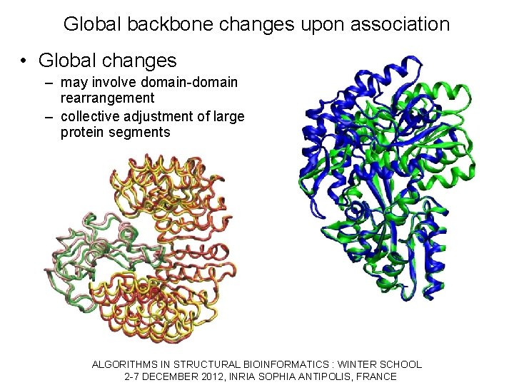 Global backbone changes upon association • Global changes – may involve domain-domain rearrangement –