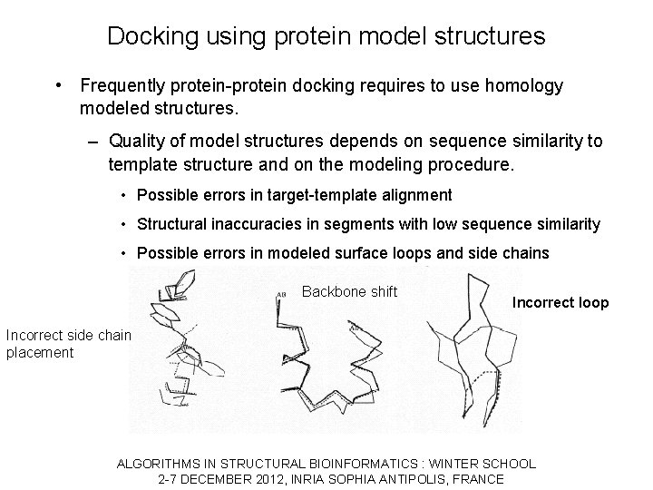 Docking using protein model structures • Frequently protein-protein docking requires to use homology modeled