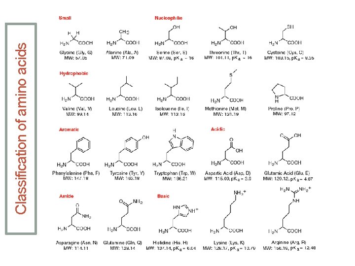 Classification of amino acids Classification of amino acids