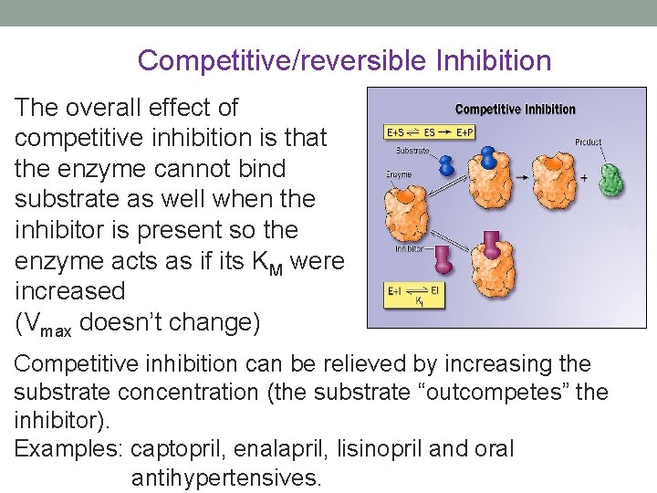 Competitive/reversible Inhibition The overall effect of competitive inhibition is that the enzyme cannot bind Competitive/reversible Inhibition The overall effect of competitive inhibition is that the enzyme cannot bind