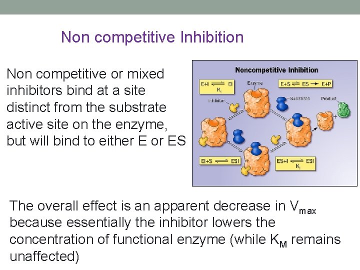 Non competitive Inhibition Non competitive or mixed inhibitors bind at a site distinct from Non competitive Inhibition Non competitive or mixed inhibitors bind at a site distinct from