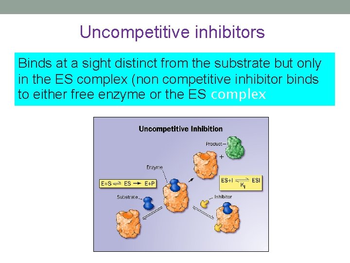 Uncompetitive inhibitors Binds at a sight distinct from the substrate but only in the Uncompetitive inhibitors Binds at a sight distinct from the substrate but only in the