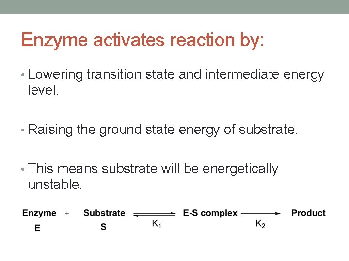 Enzyme activates reaction by: • Lowering transition state and intermediate energy level. • Raising Enzyme activates reaction by: • Lowering transition state and intermediate energy level. • Raising