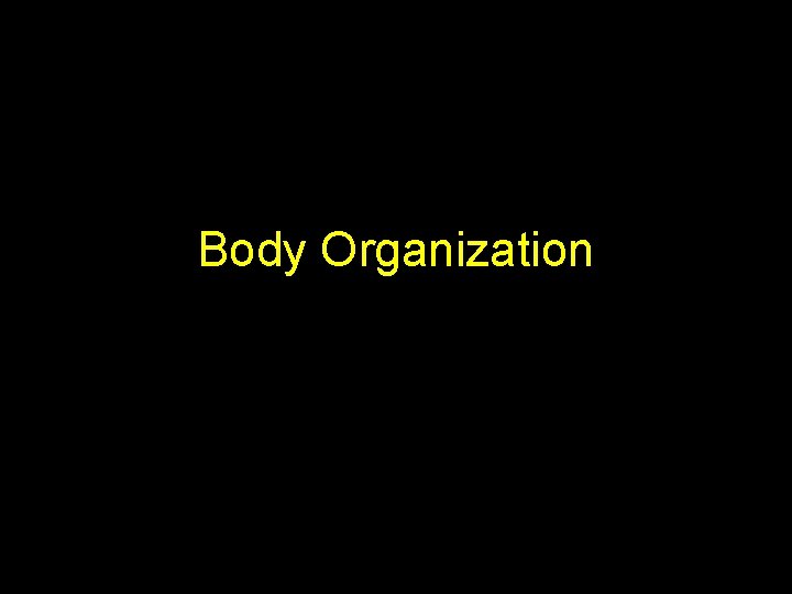 Body Organization 