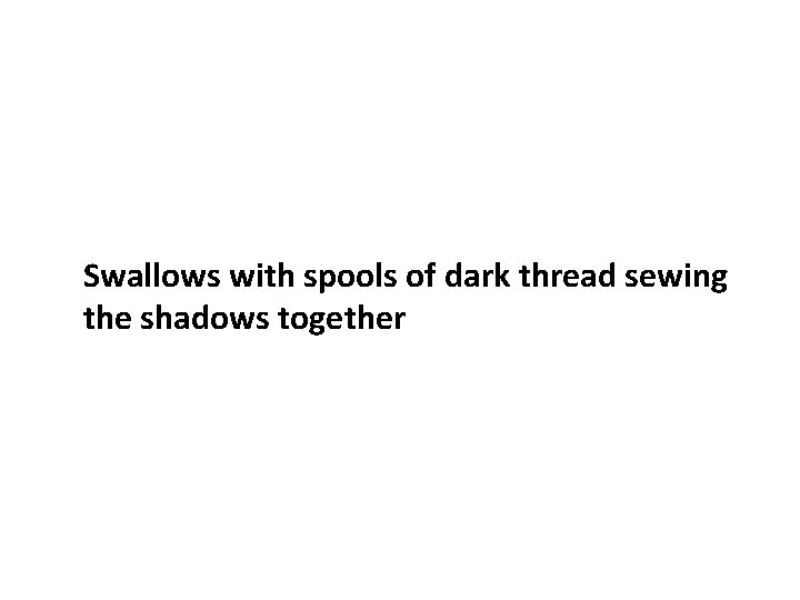 Swallows with spools of dark thread sewing the shadows together 