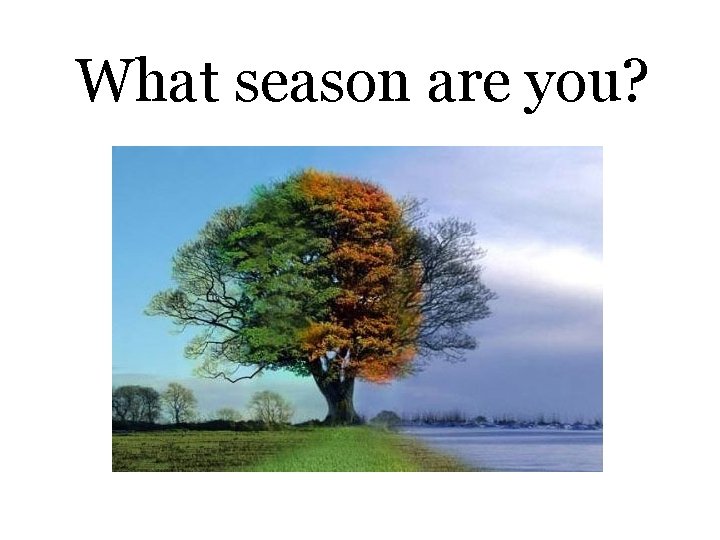 What season are you? 