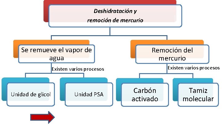 Deshidratación y remoción de mercurio Se remueve el vapor de agua Remoción del mercurio