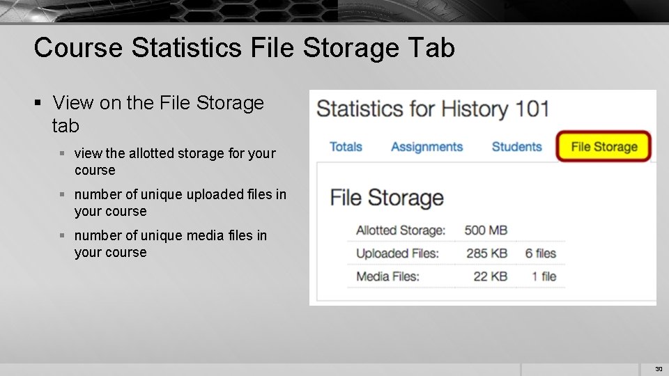 Course Statistics File Storage Tab § View on the File Storage tab § view