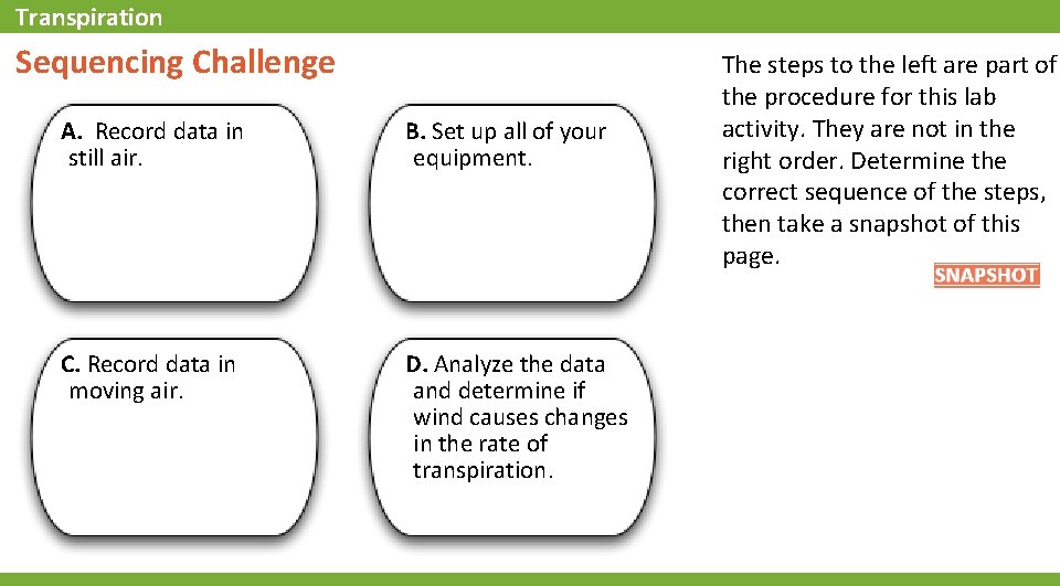 Transpiration Sequencing Challenge A. Record data in still air. B. Set up all of