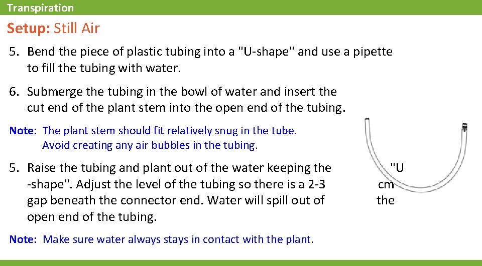 Transpiration Setup: Still Air 5. Bend the piece of plastic tubing into a "U-shape"