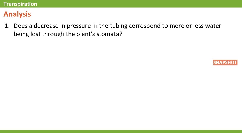 Transpiration Analysis 1. Does a decrease in pressure in the tubing correspond to more
