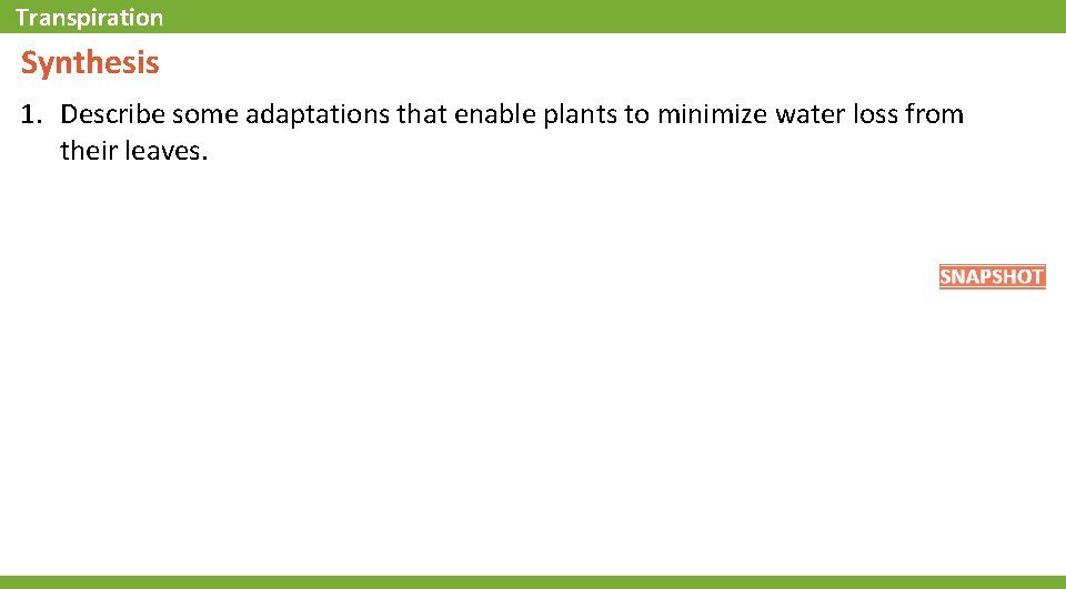 Transpiration Synthesis 1. Describe some adaptations that enable plants to minimize water loss from