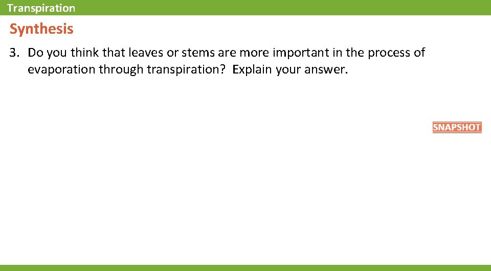 Transpiration Synthesis 3. Do you think that leaves or stems are more important in