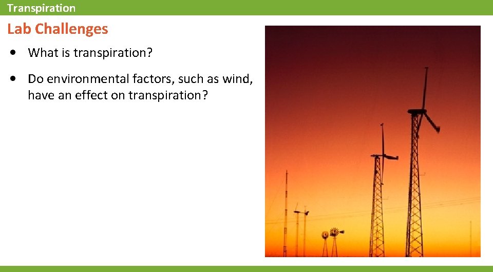 Transpiration Lab Challenges • What is transpiration? • Do environmental factors, such as wind,