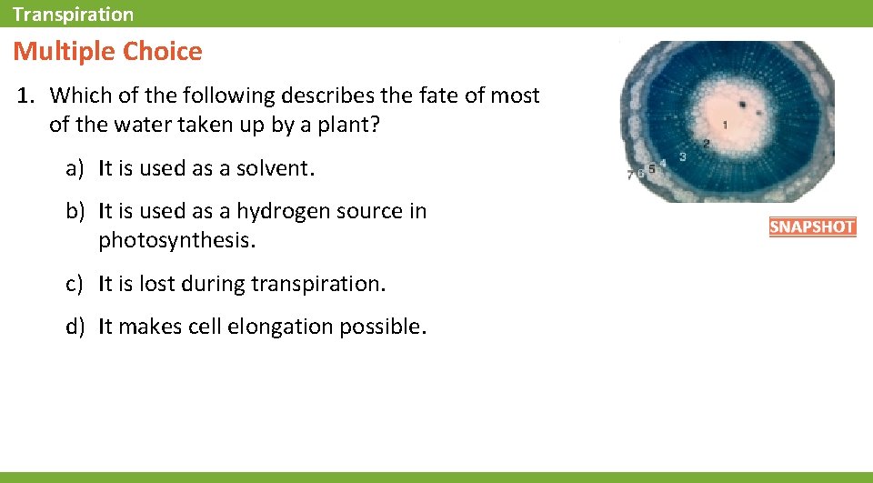 Transpiration Multiple Choice 1. Which of the following describes the fate of most of