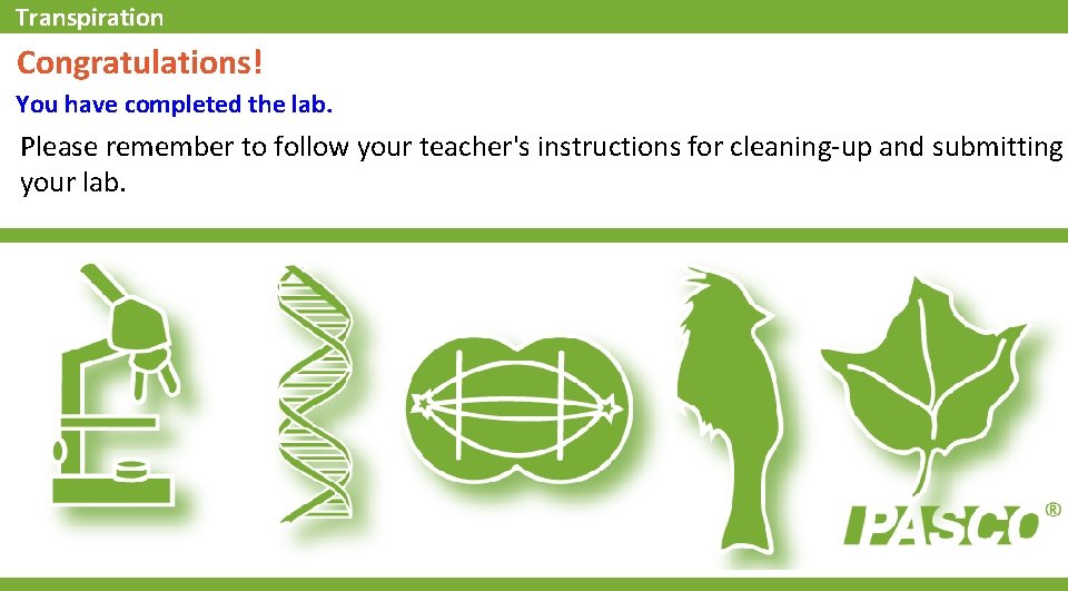 Transpiration Congratulations! You have completed the lab. Please remember to follow your teacher's instructions