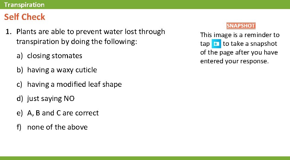 Transpiration Self Check 1. Plants are able to prevent water lost through transpiration by