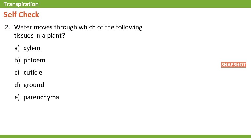 Transpiration Self Check 2. Water moves through which of the following tissues in a