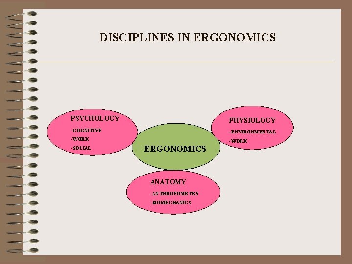 DISCIPLINES IN ERGONOMICS PSYCHOLOGY PHYSIOLOGY -COGNITIVE -ENVIRONMENTAL -WORK -SOCIAL ERGONOMICS ANATOMY -ANTHROPOMETRY -BIOMECHANICS 