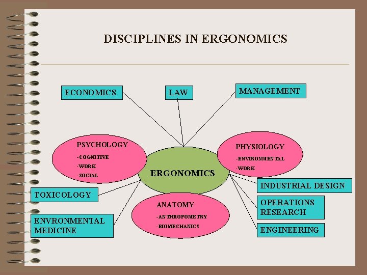 DISCIPLINES IN ERGONOMICS ECONOMICS LAW MANAGEMENT PSYCHOLOGY PHYSIOLOGY -COGNITIVE -ENVIRONMENTAL -WORK -SOCIAL ERGONOMICS -WORK