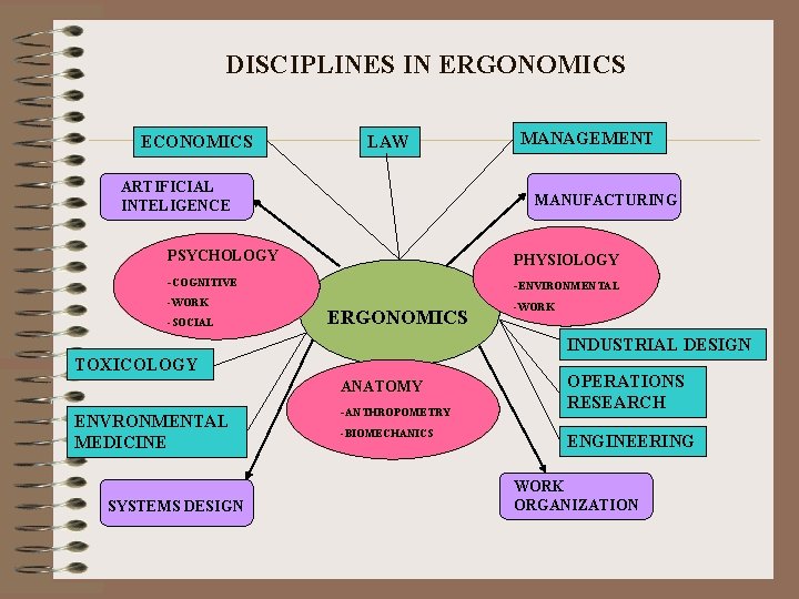 DISCIPLINES IN ERGONOMICS ECONOMICS LAW ARTIFICIAL INTELIGENCE MANAGEMENT MANUFACTURING PSYCHOLOGY PHYSIOLOGY -COGNITIVE -ENVIRONMENTAL -WORK